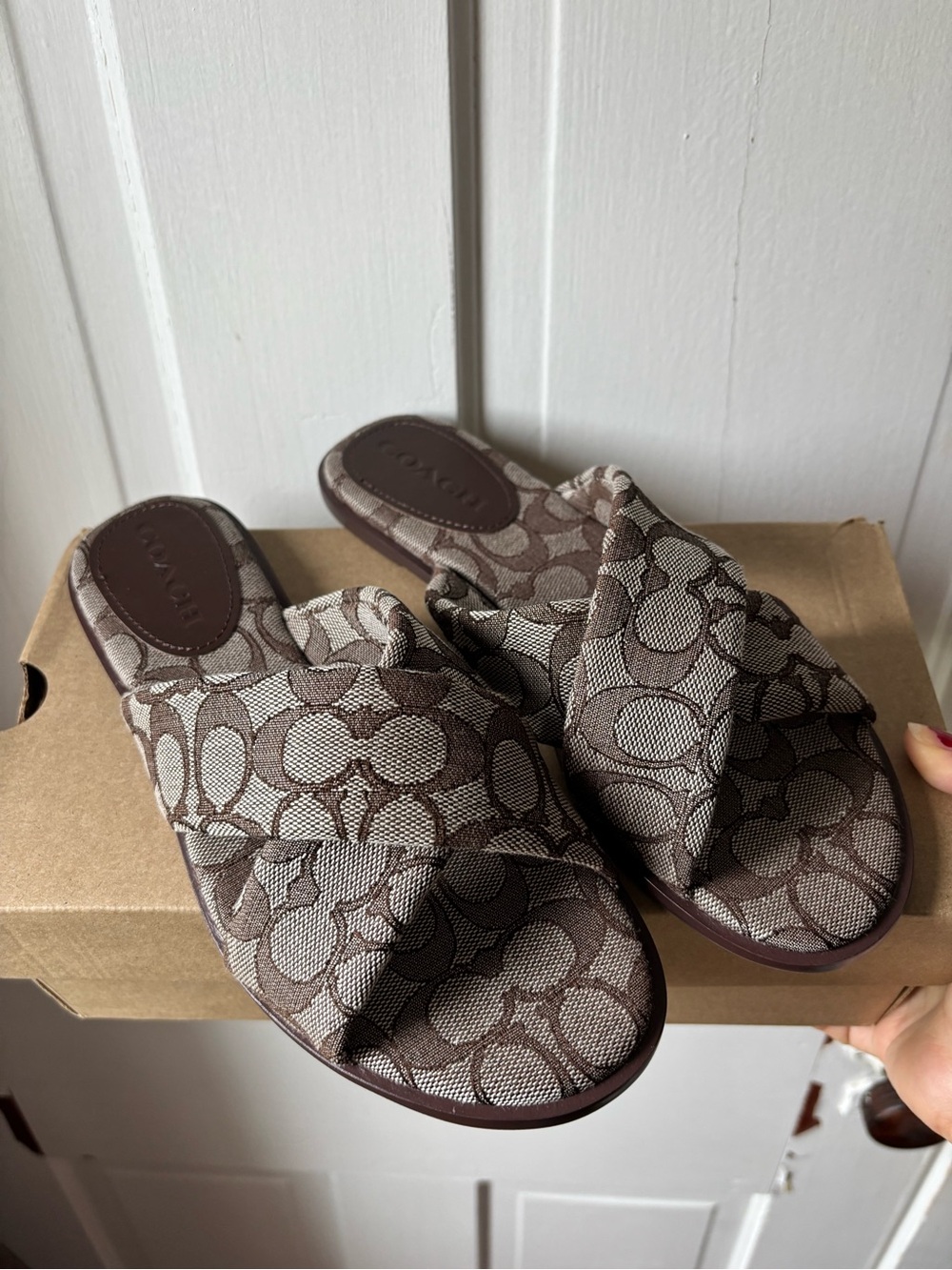 Coach Link Criss Cross slide sandals in Signature Brown Jacquard